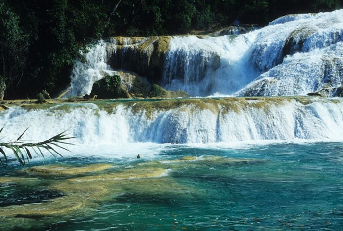 Cascadas de Agua Azul. Chis.