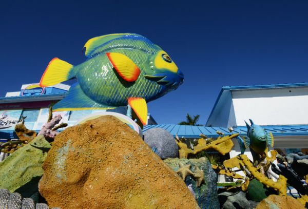 Escultura de pez ángel y arrecife en Zona Hotelera de Cancún, Q. Roo.