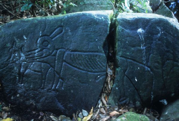 Petroglifo de mamífero en costa de las Margaritas. Catemaco, Ver.