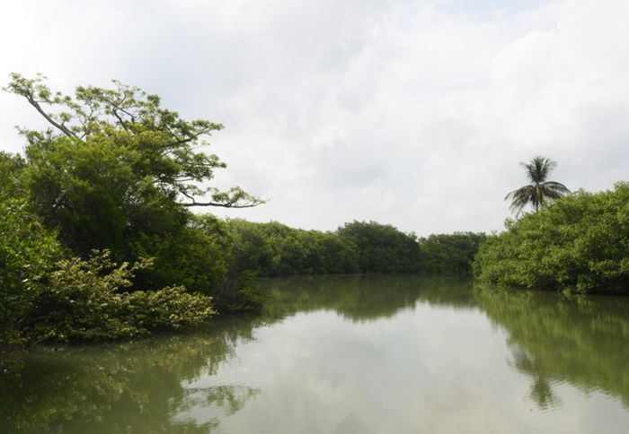 Río Tumilco para observar aves, cocodrilos, cangrejos y pescar.