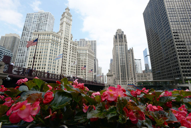 Puente en la Milla Magnifica con flores. Chicago.